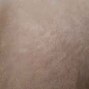 Meet your Posher, Noah